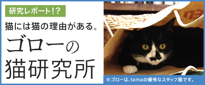 ゴローの猫研究所