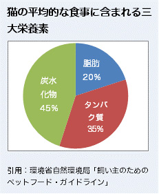 猫の平均的な食事に含まれる三大栄養素