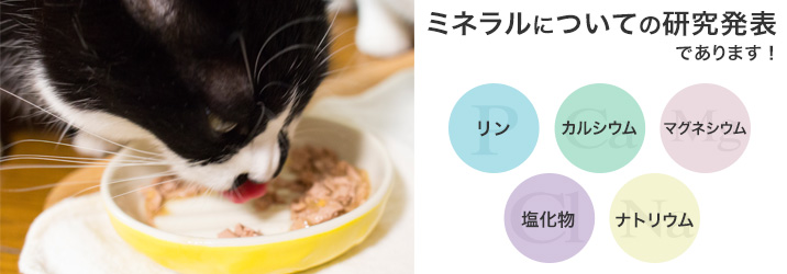 ミネラルバランスについて