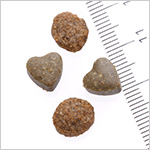 フォルツァ10　アクティブライン