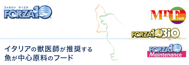 フォルツァ ディエチ