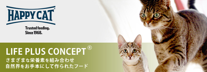 ハッピーキャット