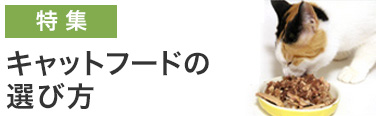 キャットフードの選び方