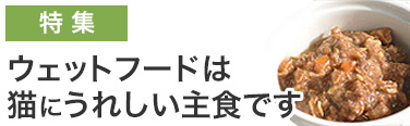 猫の主食 ウェットフード