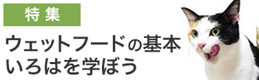 ウェットフードの選び方