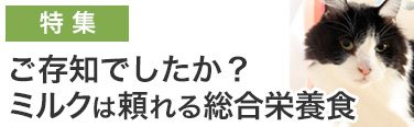 ミルク特集