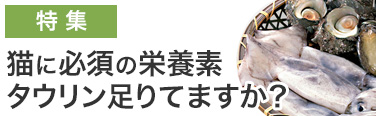 猫に必須の栄養素タウリン