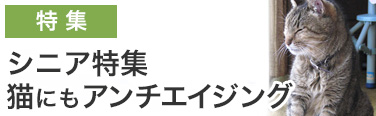 猫にもアンチエイジング