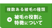 被毛の役割と特徴について