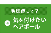 気を付けたいヘアボール