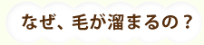 なぜ毛がたまるの