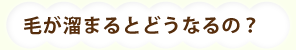 毛が溜まるとどうなるの?