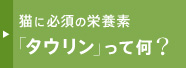 猫に必須の栄養素「タウリン」って何?