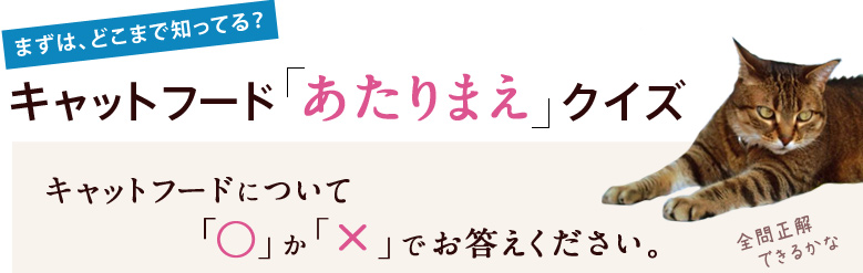 キャットフード○×クイズ。キャットフードについて「〇」か「×」でお答えください。