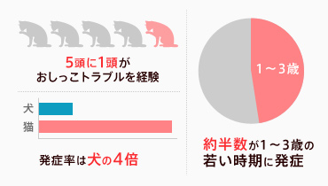 猫のおしっこトラブルは犬の4倍
