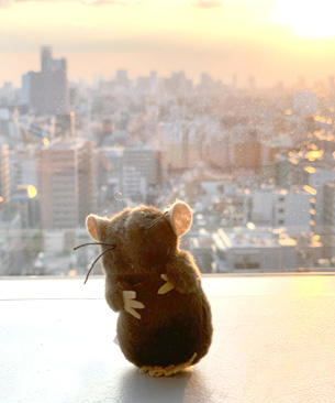 墨田区の夕日を背景に記念撮影ですYO！（ラッパー風のポーズです）
