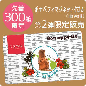 《先着300箱限定》ボナペティ世界旅行マグネット第2弾（Hawaii）付き