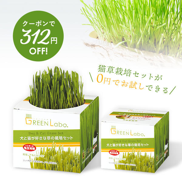 発行中にクーポンを使えば「猫草栽培セット」が【0円】に。