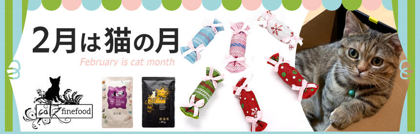 【2月は猫の月】キャッツファインフードから登場の「新フード」＆「キャンディおもちゃ」プレゼント