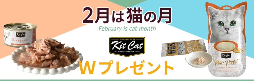 【2月は猫の月】猫の日ダブルプレゼント！『キットキャット』のウェットフード＆オヤツ