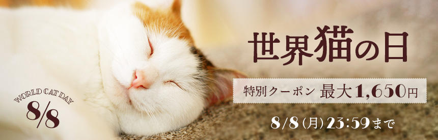 【8/8(月)23:59まで】最大1,650円「世界猫の日」特別クーポン