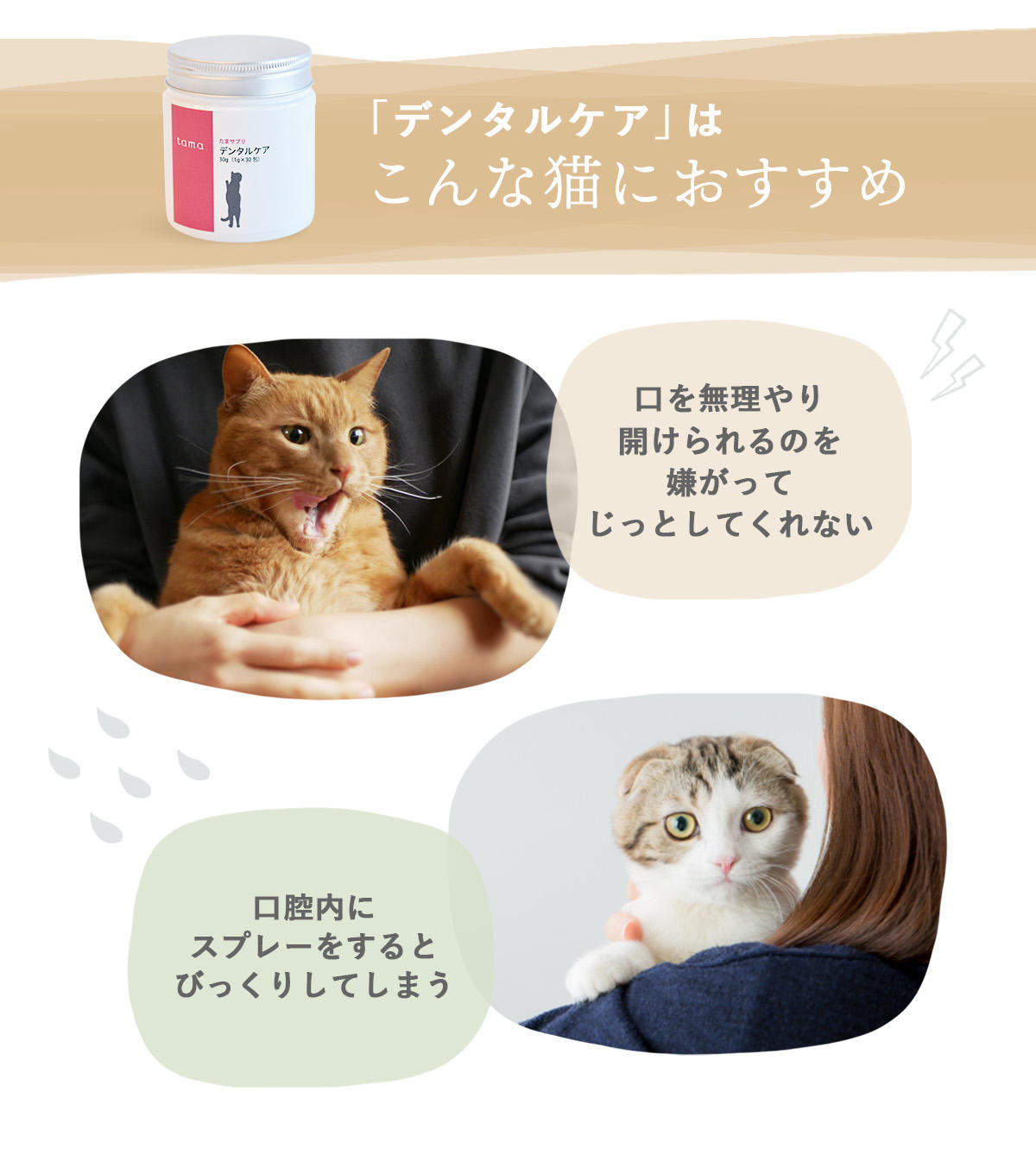 歯磨きを嫌がる猫、スプレータイプだとビックリする猫の口腔ケアにお役立てください。