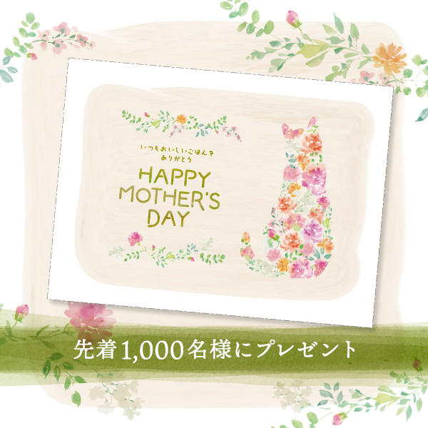 《先着1000名様》猫からの「いつもありがとう。」の気持ちを込めて。100円クーポンコード付き母の日カードをプレゼントいたします。