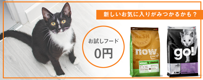 （終了しました）猫たちの新生活も応援します。2種のフードを0円プレゼント♪