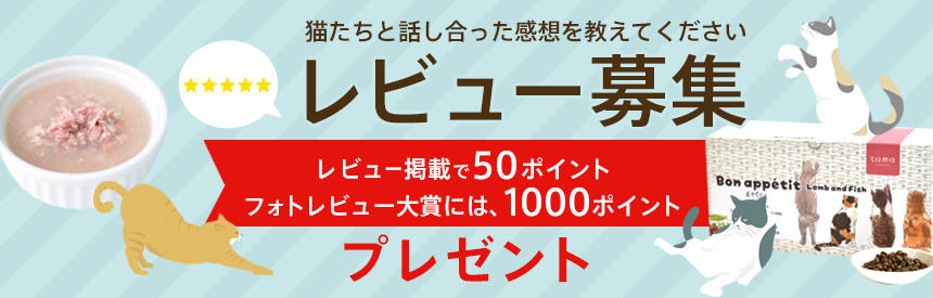 （終了しました）【レビュー募集キャンペーン★大賞で1000ポイントプレゼント】猫たちと話し合った感想を教えてください