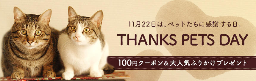 11月22日は「ペットたちに感謝する日」100円クーポン ＆ 大人気ふりかけプレゼント