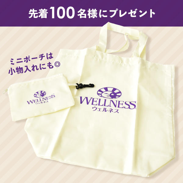 「ウェルネス」のロゴ入りエコバッグは、ちょっとしたお買い物時に便利なサイズ。