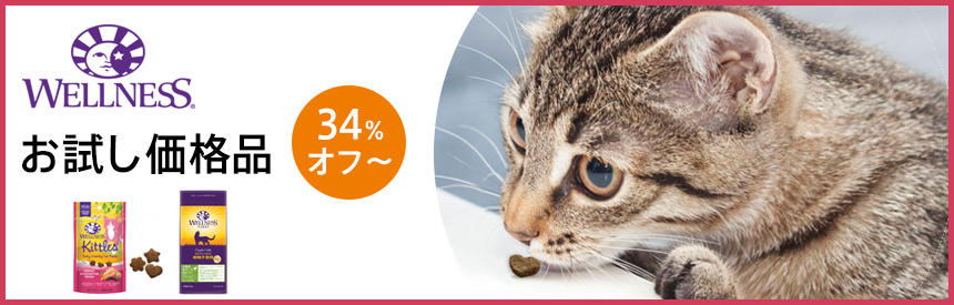 お試し価格（34％オフ～）で特別販売！ウェルネスの一口おやつ＆子猫用フード