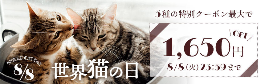 【8/8(火)23:59まで】最大1,650円「世界猫の日」特別クーポン