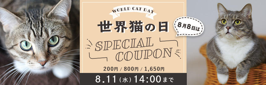 【8/11（水）14:00まで！】最大1,650円「世界猫の日」特別クーポン