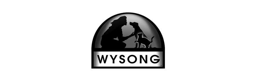 【重要】WYSONG(ワイソン)製品リニューアルのお知らせ
