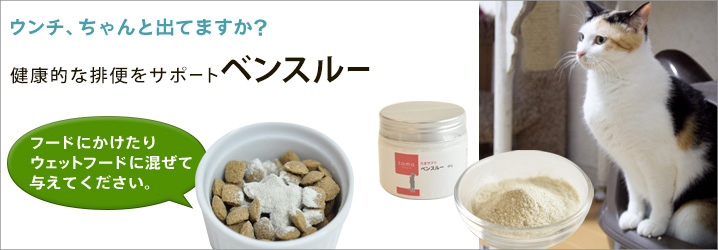 ウンチちゃんと出てますか