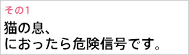 猫の息、臭かったら危険信号です。
