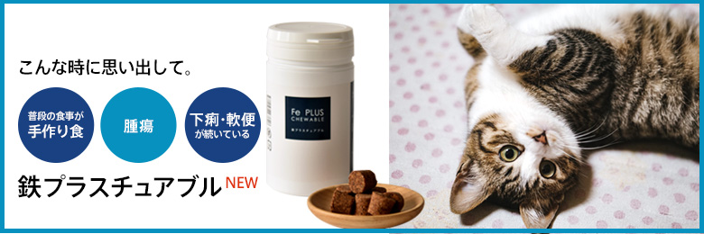 鉄プラスチュアブル新発売