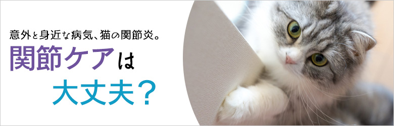 関節ケアは大丈夫？