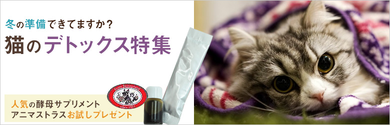 猫のデトックス特集