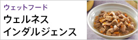 ウェルネス インダルジェンス