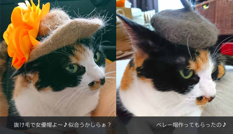 猫の毛アート