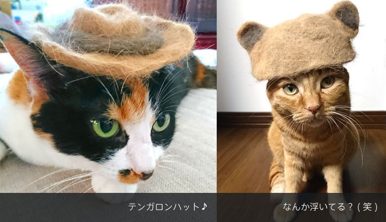 猫の毛アートその2