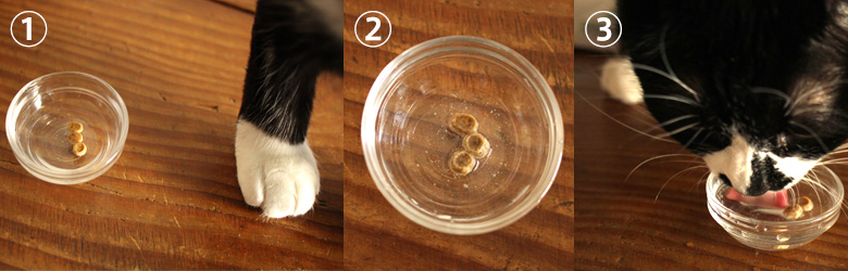 水に浸してみた。