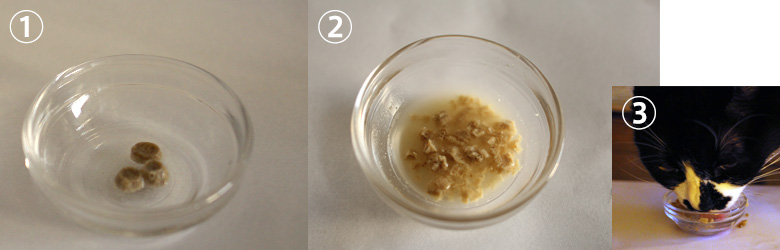 リトライ、水に浸してみた。