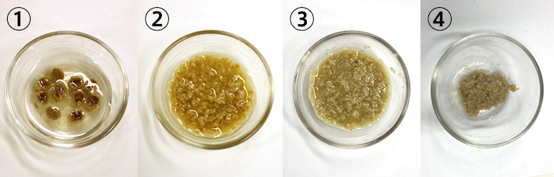 リトライのリトライ、水に浸してみた。