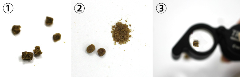 割ったり潰したりして、ルーペで見てみた。