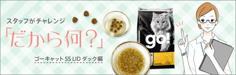 スタッフがチャレンジ「だから何?」GO! SS LID ダック編