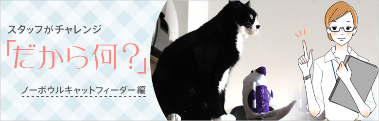 スタッフがチャレンジ「だから何?」ノーボウルキャットフィーダー編