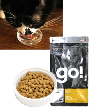 ゴー SS LID　ダック編